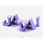 Курсы обучения программированию фото