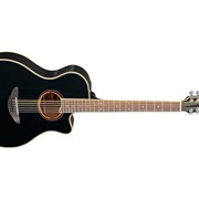 12-струнная электроакустическая гитара Yamaha APX700 II-12 (BK) фото