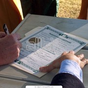 Приватизация фото