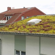 Озеленение крыш
