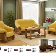 Кожаный диваны и кресло Muszelka 3+1+1 фото