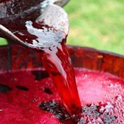 Сусло виноградное концентрированное красное
