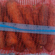 Морковь крупная на переработку фото