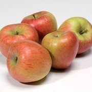 Яблоки, сливы разных сортов фото