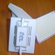 Светодиодная лампа Rx7s фото