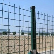 Заборы из сварной сетки Euro Fence 50*50*2,5 с ПВХ покрытием