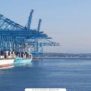 Морские перевозки контейнерных грузов фото
