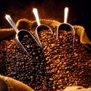 Проектирование заводов по производству кофе