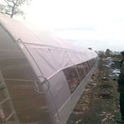 Теплица фермерская 8 фото