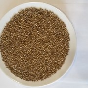 Семена конопляные высшего сорта 1 кг согласно ГОСТ 9158-76 фото