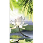 Плитка настенная Nature Lotus Панно 80х44 NT2H023D фото