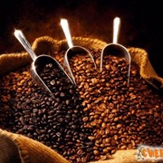 Быстрорастворимый кофе 150г фото