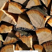 Сырье древесное, дрова фото