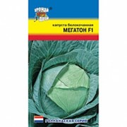 Капуста белокочанная Мегатон F1 2500 семян фото