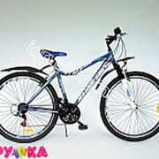 Велосипед горный eurotex flame 290804e/04