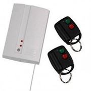 Elmes DWB-100-HS 2- канальный комплект: приемник + 2 пульта фото