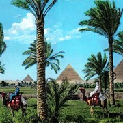 Лучший отдых в Египте фото