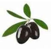 Оливки маринованные с косточкой