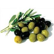 Оливки и маслины фото