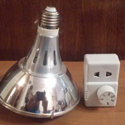 Лампа-брудер "Молох" 100-300Вт