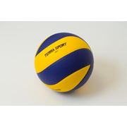 Мяч волейбольный Terrаsport-VB006 фото