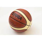 Мяч баскетбольный Terrasport-BS004 фотография
