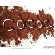 Какао-продукты фото