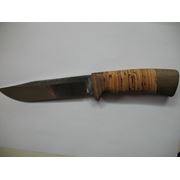 Нож охотничий Беркут фото