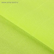 Бумага гофрированная, 958 "Светло-зелёная", 0,5 х 2,5 м