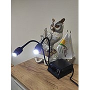 Осветитель светодиодный Dual Goose LED фотография