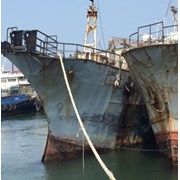 Рыботранспортное судно «Луиджи» фото