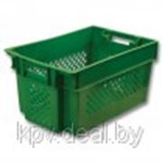 Ящик пластиковый для овощей, размер внешний (мм) 600 х 400 х 300 фото