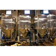 Пивоварня на 500 литров в сутки фото