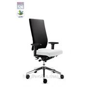 Стул DAUPHIN CHAIRS Takeover ta 18800 фото