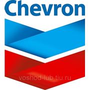 Смазка для пищевой промышленности Chevron FM ALC EP фото