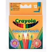12 коротких цветных карандашей, Crayola