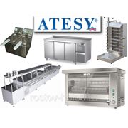 Пищевое оборудование Atesy / Атеси