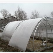 Теплицы садовые 3х6м, поликарбонат 6мм (10-ть лет) фото