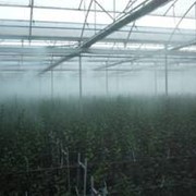 Система охлаждения и поддержания влажности «туман» фотография
