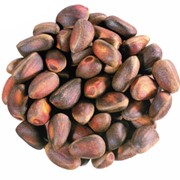 Кедровый орех фото