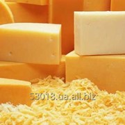 Сыр на основе молочных белков Промилк фото