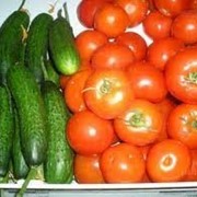 Овощи свежие, тепличные Украина фото