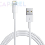 Apple Lightning to USB Cable for iPad mini (Hi-copy) фотография