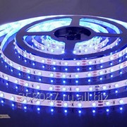 Светодиодная лента 3528/60 LED 4.8W IP20 белая подложка, синий свет фото