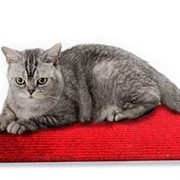 Нагревательный коврик для кошек 65х110 см фото