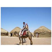 Верблюжий тур в пустыне Кызылкум фото