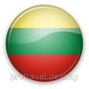 Однократная Литовская виза фото