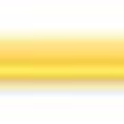 Лапша домашняя фото