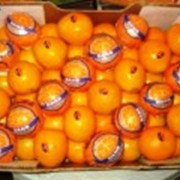 Апельсин фрешевый, очень сладкий сочный фото