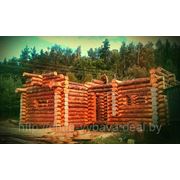 Срубы деревянных домов фотография